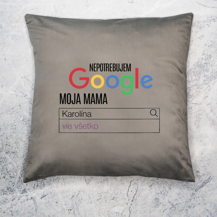 Nepotrebujem google - Dekoračný vankúš