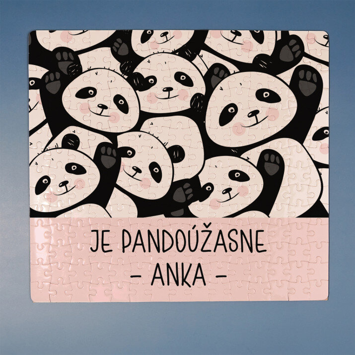 Pandoúžasne - Magnetické puzzle