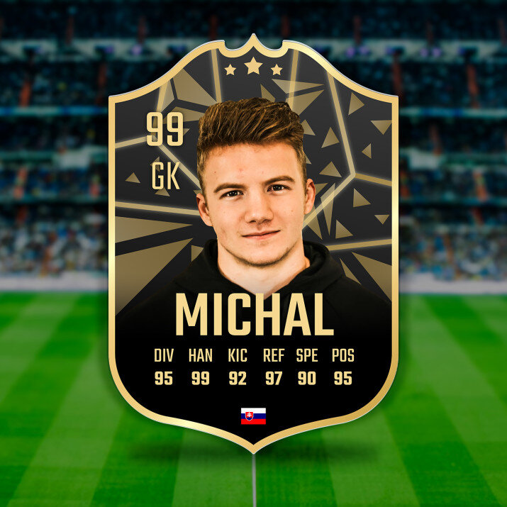 Vo forme - Karta hráča