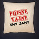 Prísne tajné sny - Dekoračný vankúš