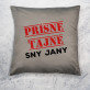 Prísne tajné sny - Dekoračný vankúš