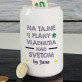 Na tajné plány vládnutia nad svetom - Pokladnička