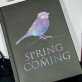 Spring is Coming - Notes A5 s potiskem